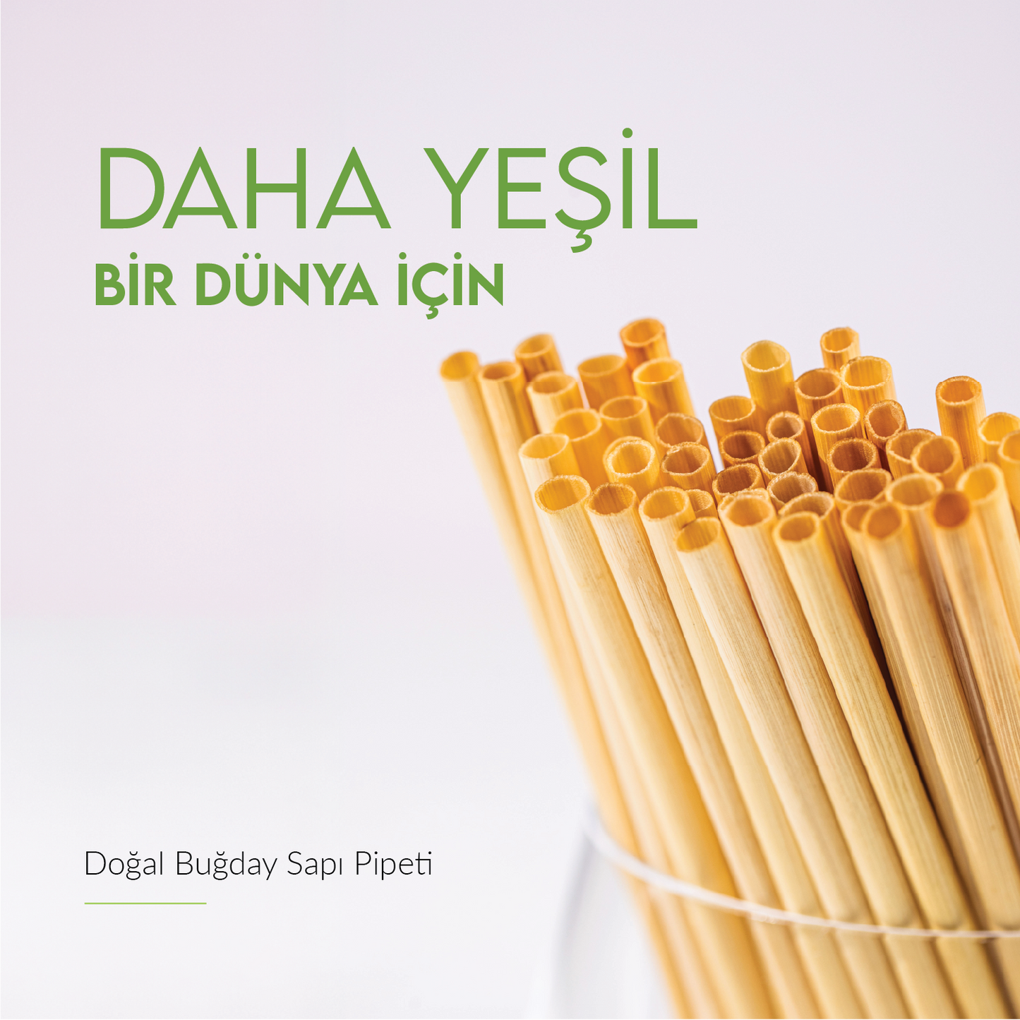 Buğday Sapı Pipeti